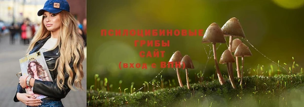 apvp Белокуриха