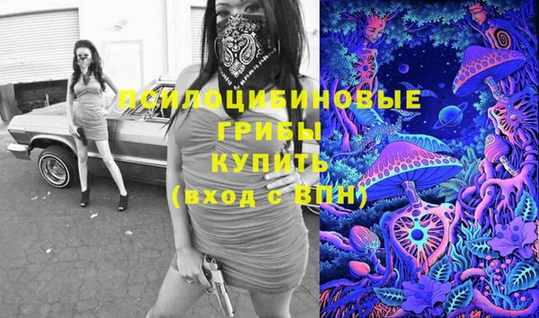 apvp Белокуриха