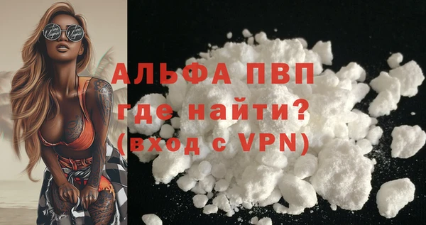 apvp Белокуриха