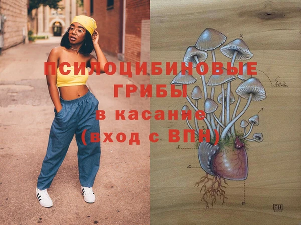 apvp Белокуриха