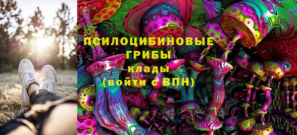 мяу мяу мука Беломорск