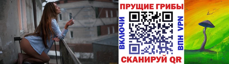это клад  где продают наркотики  Кирсанов  Галлюциногенные грибы Psilocybe 